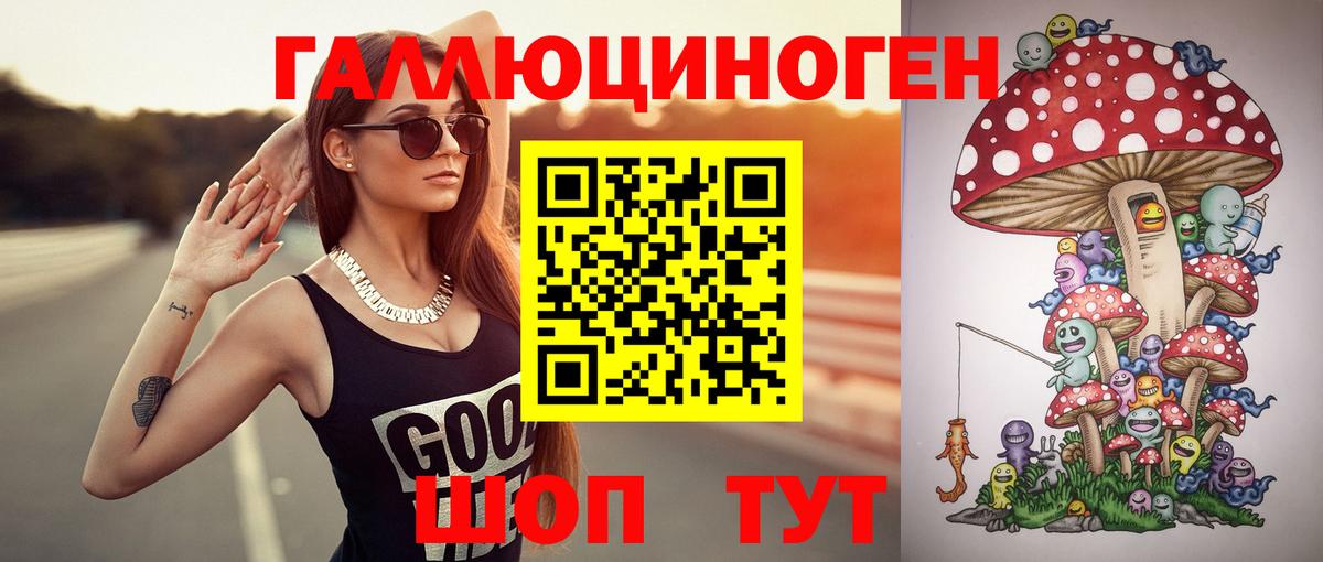 Котельники  где найти наркотики  Вход с VPN  Псилоцибиновые грибы мухоморы 